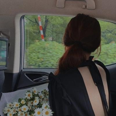 大耳朵图图之霸王龙在行动